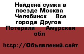 Найдена сумка в поезде Москва -Челябинск. - Все города Другое » Потеряли   . Амурская обл.